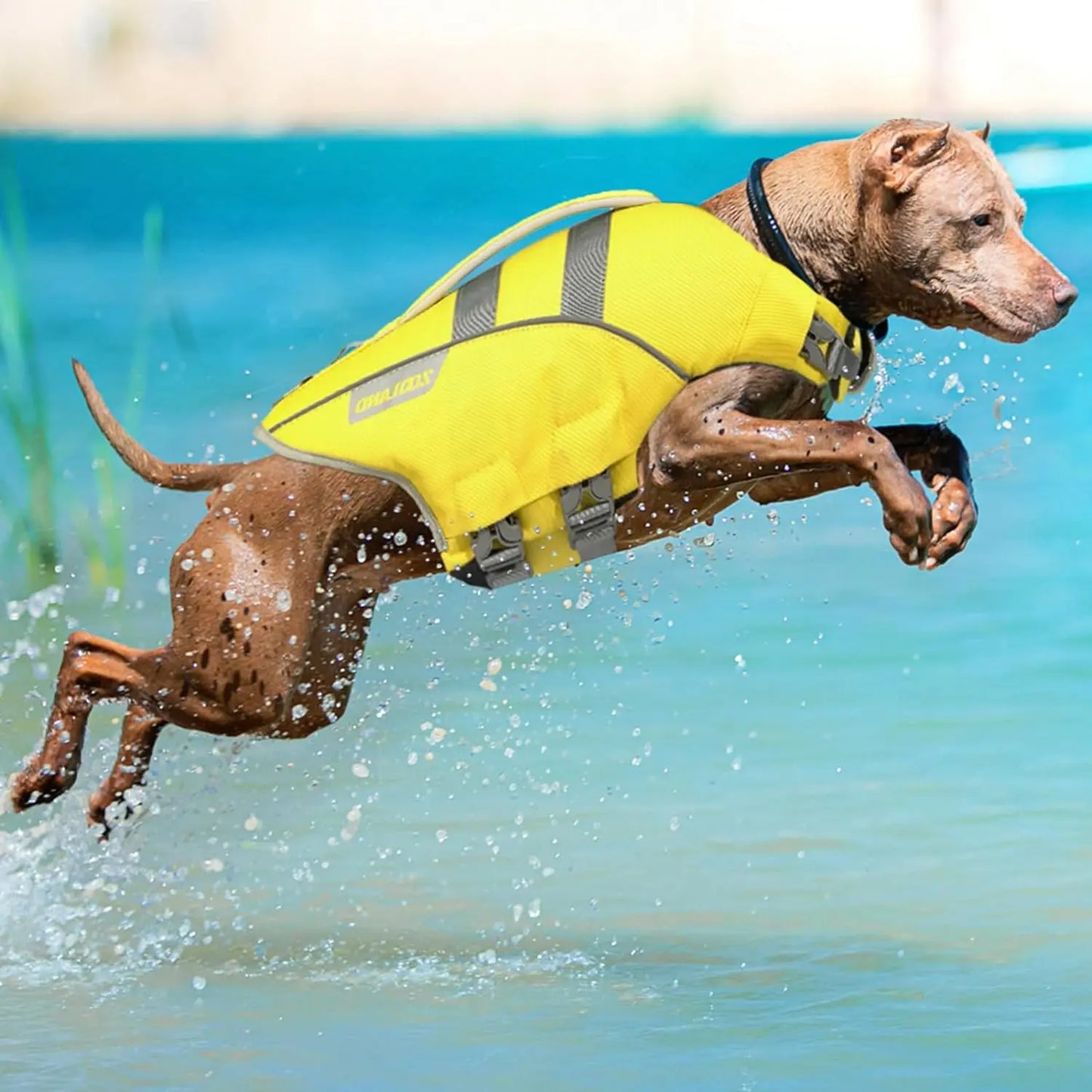 Dog Life Jacket with Reflective Stripes, Adjustable