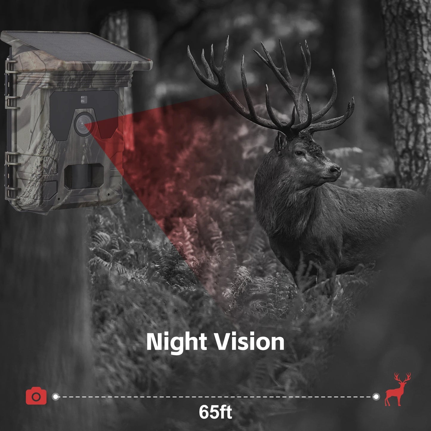 Solar Powered Night Vision Trail Camera